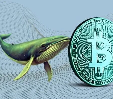 Bitcoin ETFs On Fire: $5.13B Inflows Signal Market Shift
