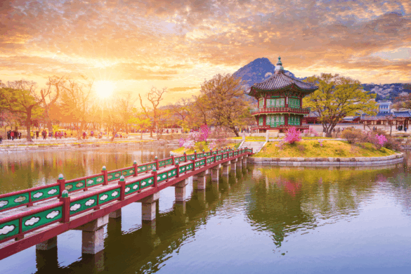 South Korea Cracks Down on CatFi Rugpull: First-Ever Crypto Fraud Case Under New Investor Protection Law